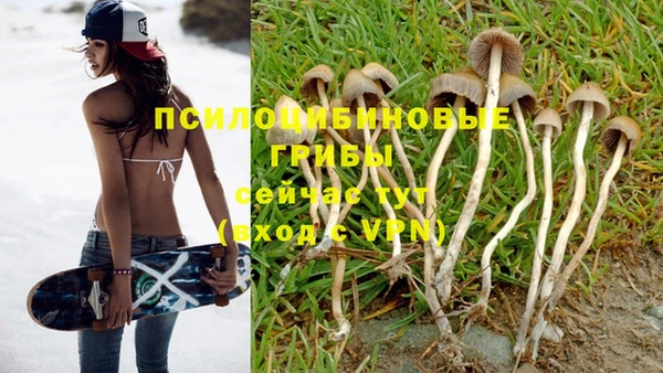 эйфоретик Дмитров