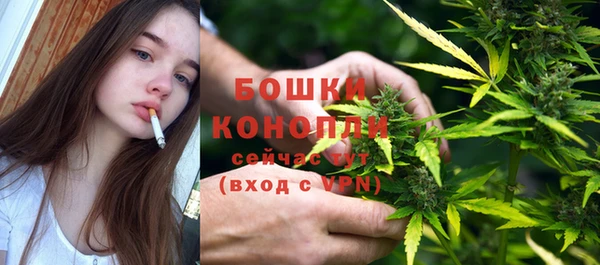 кокс Дмитриев