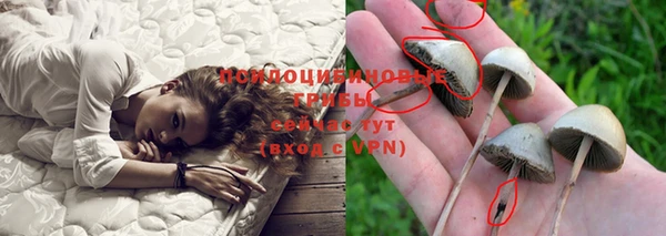 кокс Дмитриев