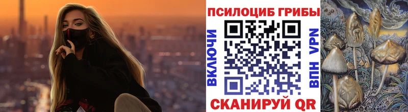 Галлюциногенные грибы Psilocybe  Купить закладки  Зуевка 